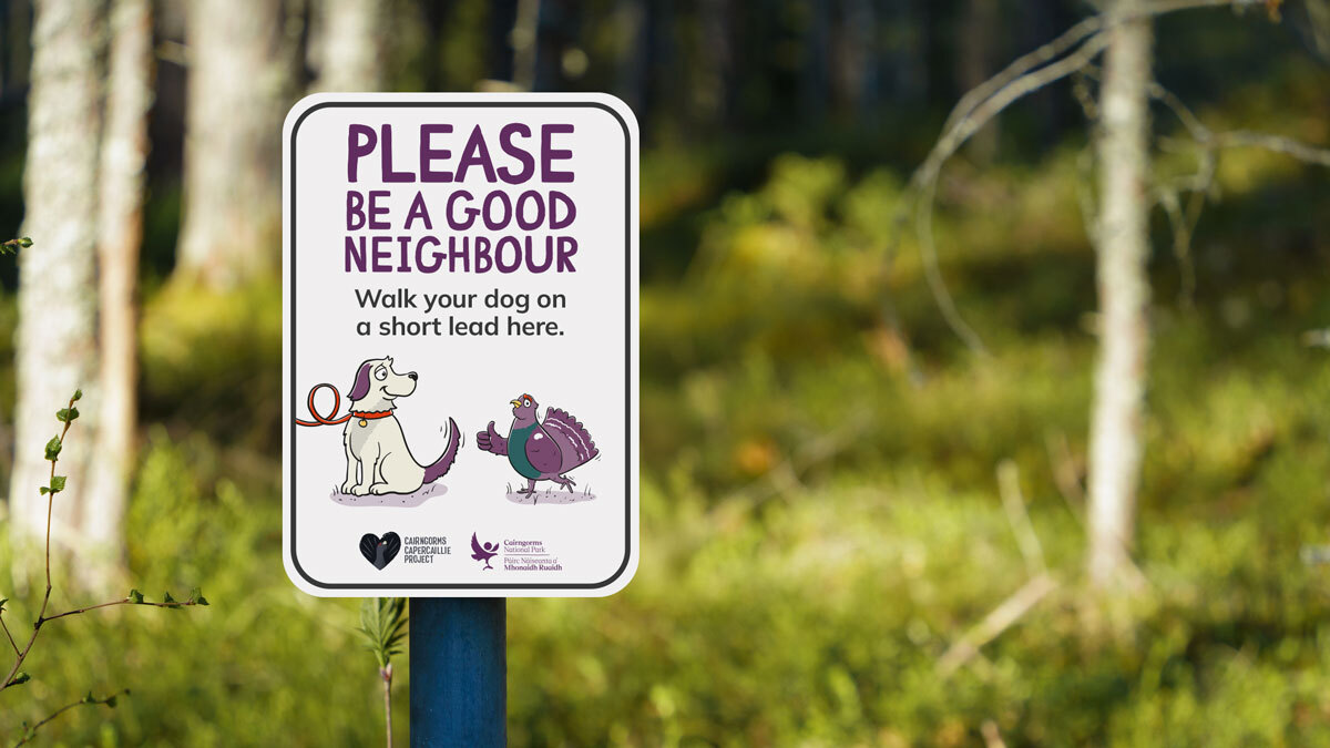 Please Do Not Disturb - Capercaillie - Cairngorms National Park Authority