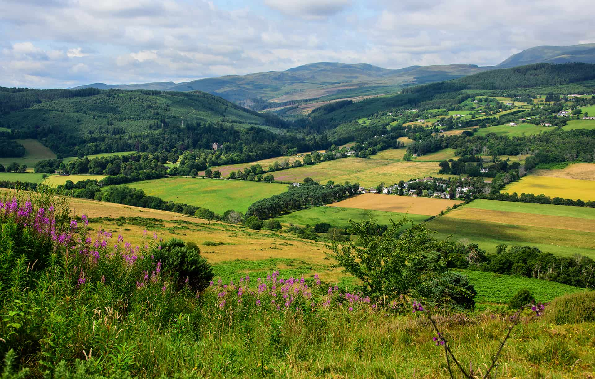 Scottish Farm